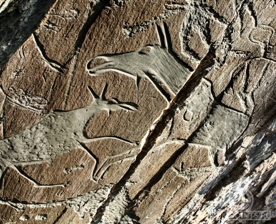 Музей-заповедник Томская писаница на wikipoints.ru