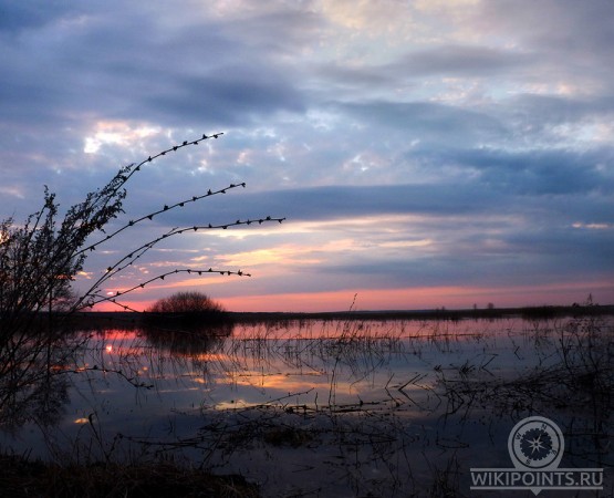 Хоперский заповедник на wikipoints.ru