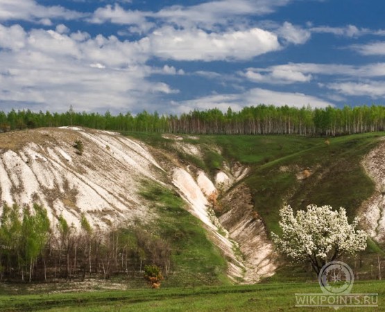 Хоперский заповедник на wikipoints.ru
