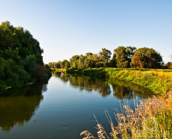 Хоперский заповедник на wikipoints.ru