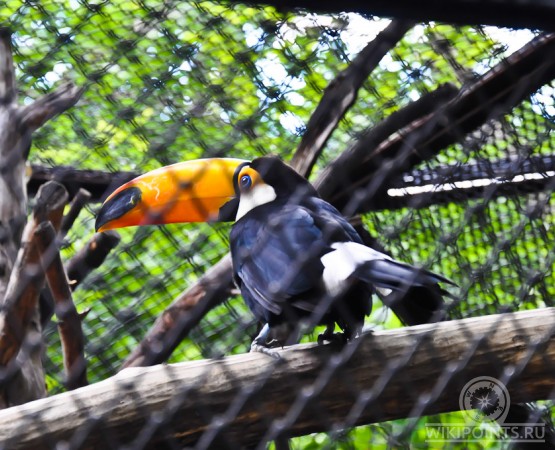 Новосибирский зоопарк на wikipoints.ru