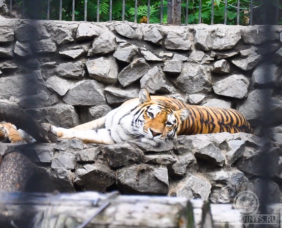 Новосибирский зоопарк на wikipoints.ru