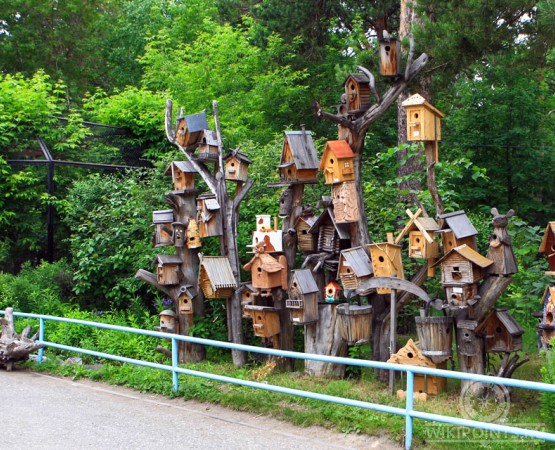 Новосибирский зоопарк на wikipoints.ru