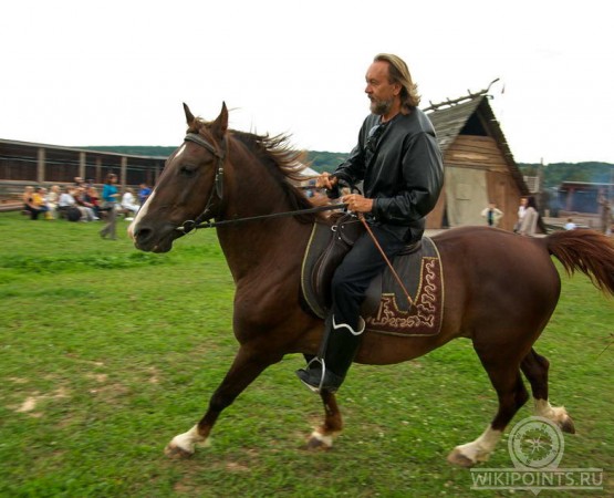 Славянский кремль на wikipoints.ru