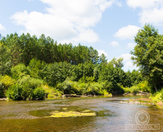 Национальный парк Бузулукский бор на wikipoints.ru