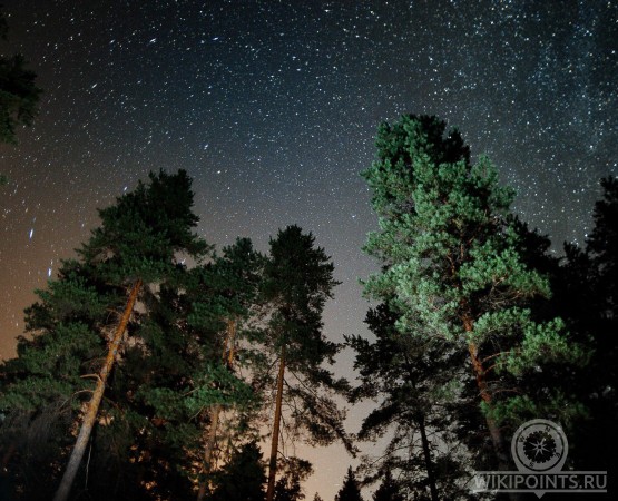 Национальный парк Бузулукский бор на wikipoints.ru