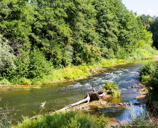 Национальный парк Бузулукский бор на wikipoints.ru