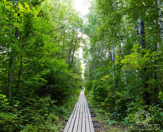 Национальный парк Бузулукский бор на wikipoints.ru