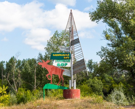 Национальный парк Бузулукский бор на wikipoints.ru