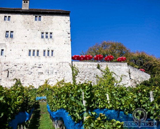 Замок Габсбург на wikipoints.ru