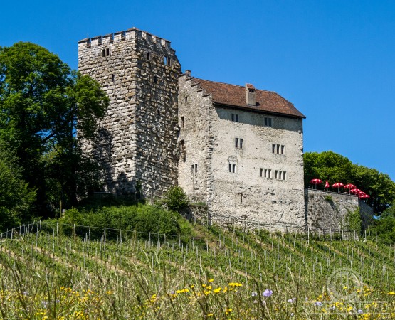 Замок Габсбург на wikipoints.ru