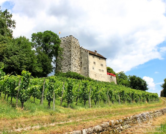 Замок Габсбург на wikipoints.ru