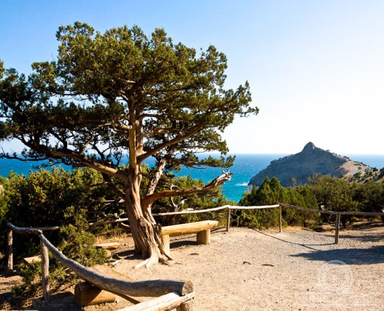 Тропа Голицына на wikipoints.ru