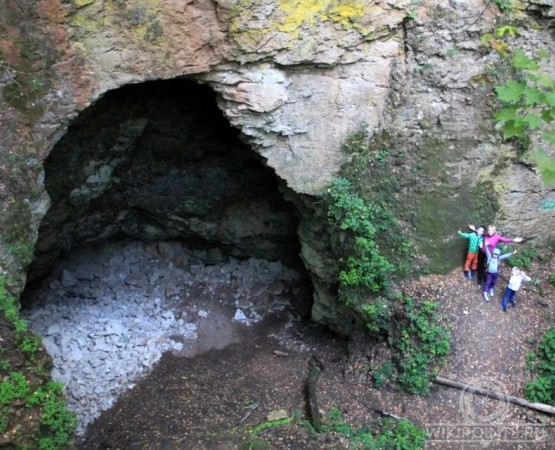 Ичалковский бор на wikipoints.ru