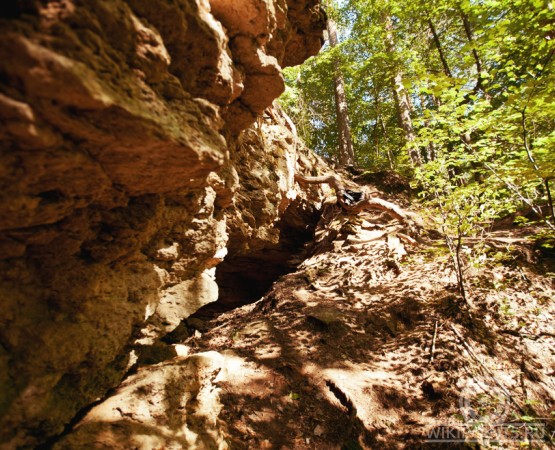 Ичалковский бор на wikipoints.ru