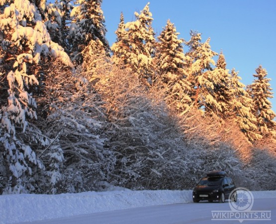 Пасека Деда Мороза на wikipoints.ru