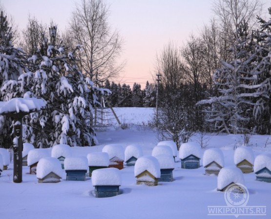 Пасека Деда Мороза на wikipoints.ru