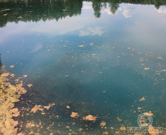 Свято озеро на wikipoints.ru