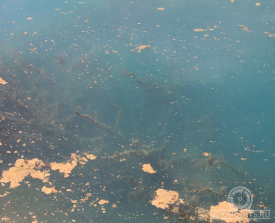 Свято озеро на wikipoints.ru