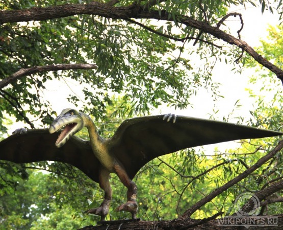 Динопарк Динозавры на Вятке на wikipoints.ru