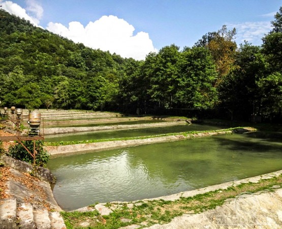 Форелевое хозяйство Чернореченское на wikipoints.ru