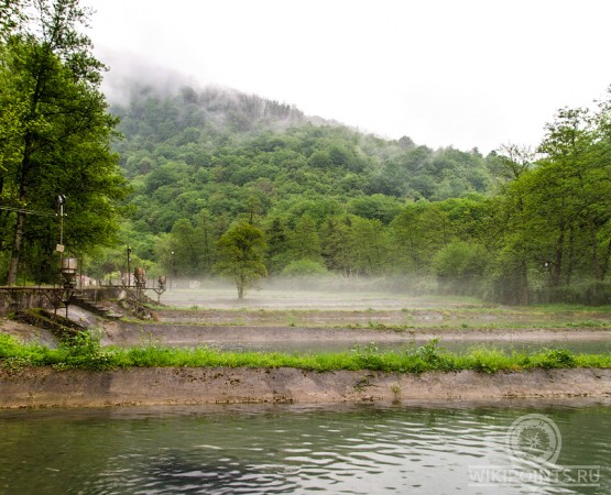 Форелевое хозяйство Чернореченское на wikipoints.ru