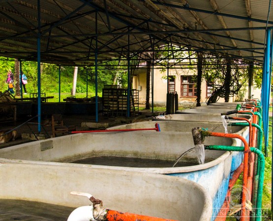 Форелевое хозяйство Чернореченское на wikipoints.ru