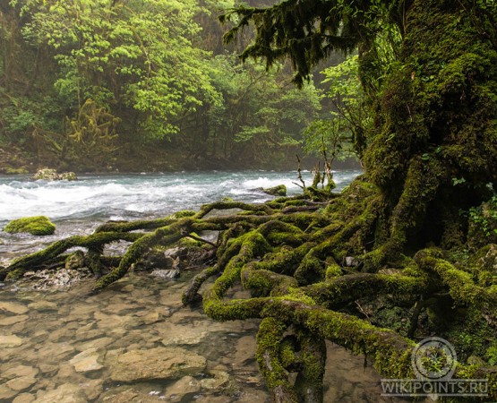 Верховья реки Мчишта на wikipoints.ru