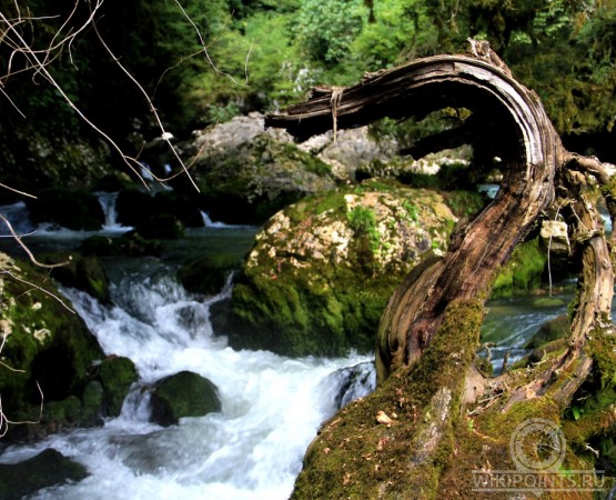 Верховья реки Мчишта на wikipoints.ru