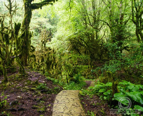 Верховья реки Мчишта на wikipoints.ru