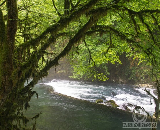 Верховья реки Мчишта на wikipoints.ru