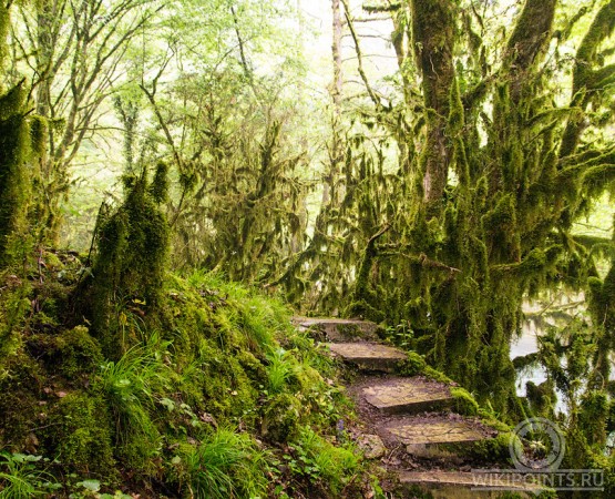 Верховья реки Мчишта на wikipoints.ru