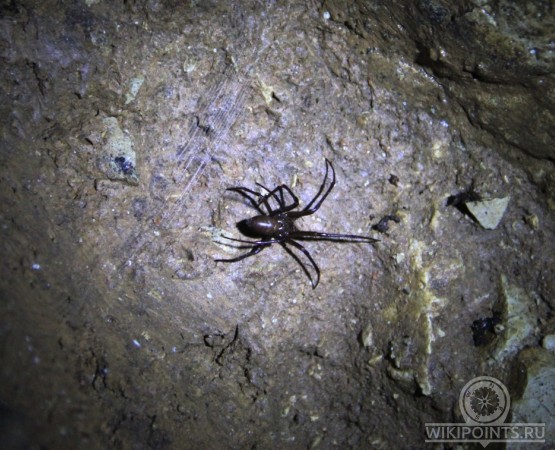 Грот Соловьева на wikipoints.ru