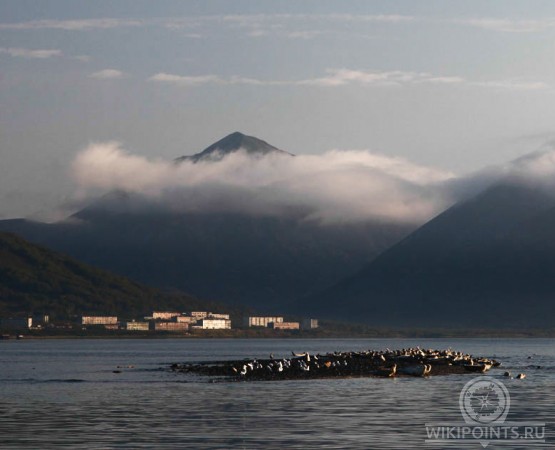 Бечевинка на wikipoints.ru