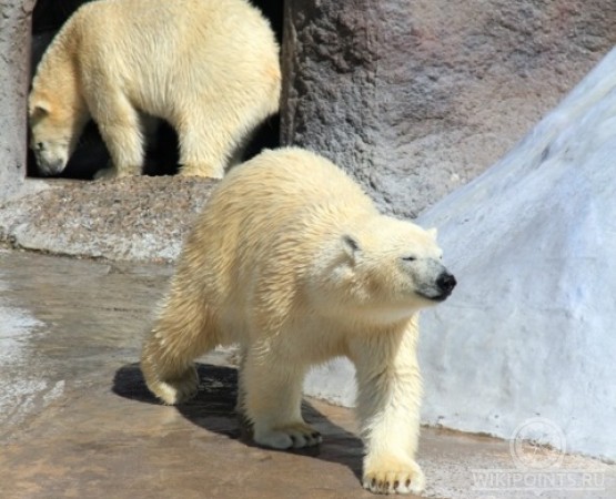 Ижевский зоопарк на wikipoints.ru