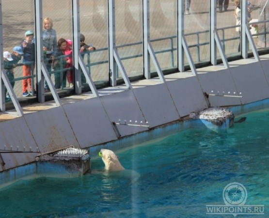 Ижевский зоопарк на wikipoints.ru