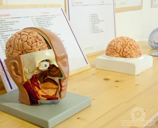 Экспериментаниум на wikipoints.ru