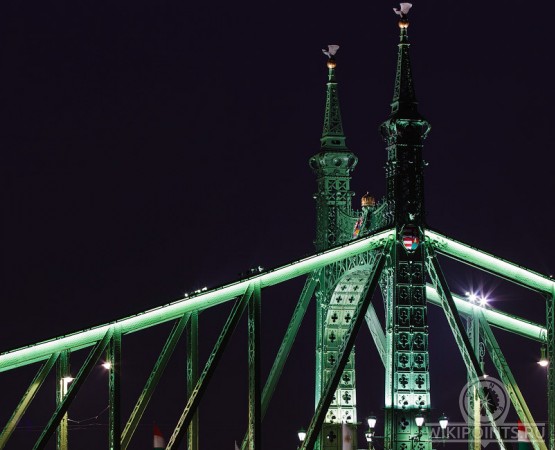 Мост Свободы на wikipoints.ru