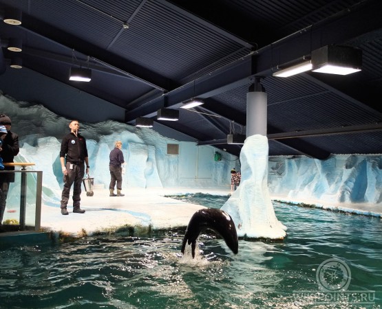 Музей Полария на wikipoints.ru