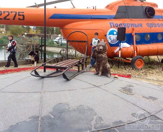 Памятник Якутской лайке на wikipoints.ru