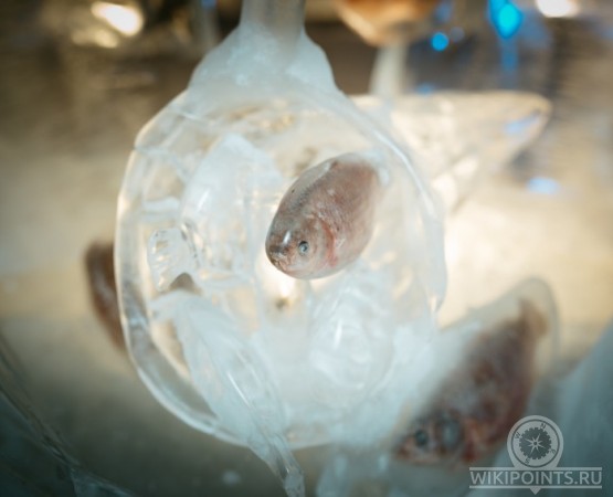 Царство вечной мерзлоты на wikipoints.ru