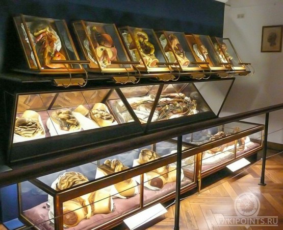 Музей Башня сумасшедших на wikipoints.ru