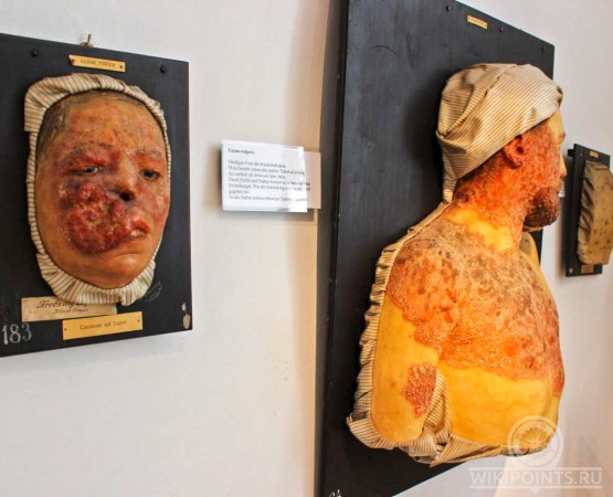 Музей Башня сумасшедших на wikipoints.ru