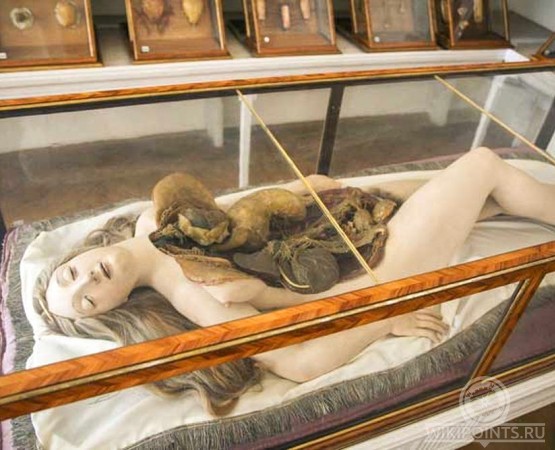 Музей Башня сумасшедших на wikipoints.ru