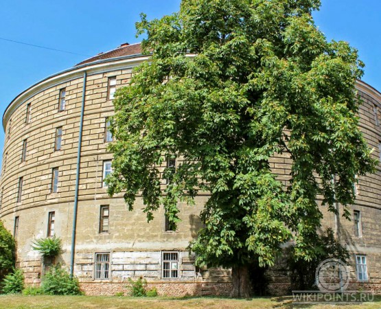 Музей Башня сумасшедших на wikipoints.ru