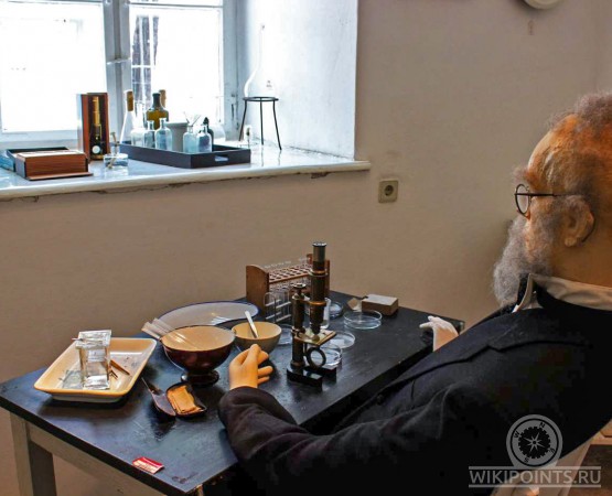 Музей Башня сумасшедших на wikipoints.ru