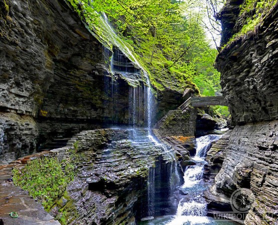 Национальный парк Уоткинс Глен на wikipoints.ru
