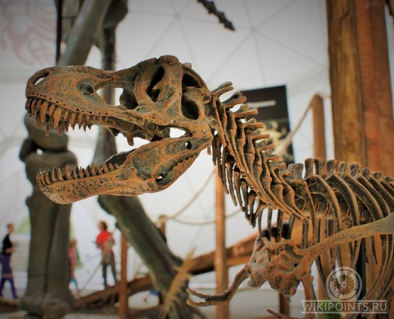 Парк птиц Динотерий Коктебель на wikipoints.ru