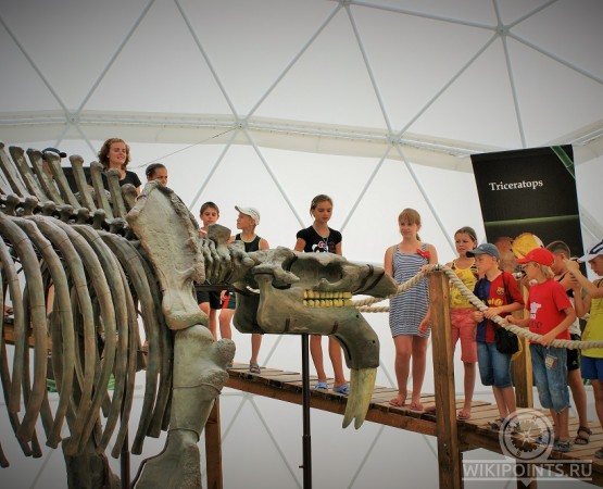 Парк птиц Динотерий Коктебель на wikipoints.ru