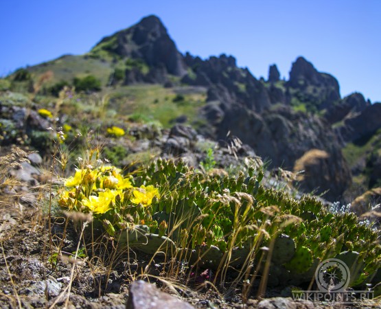 Карадагский природный заповедник на wikipoints.ru
